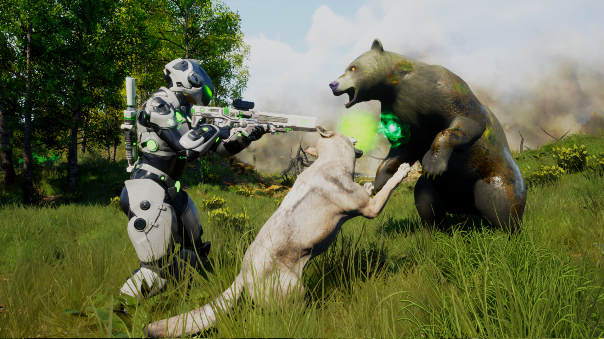 Player and healed wolf fighting a bear